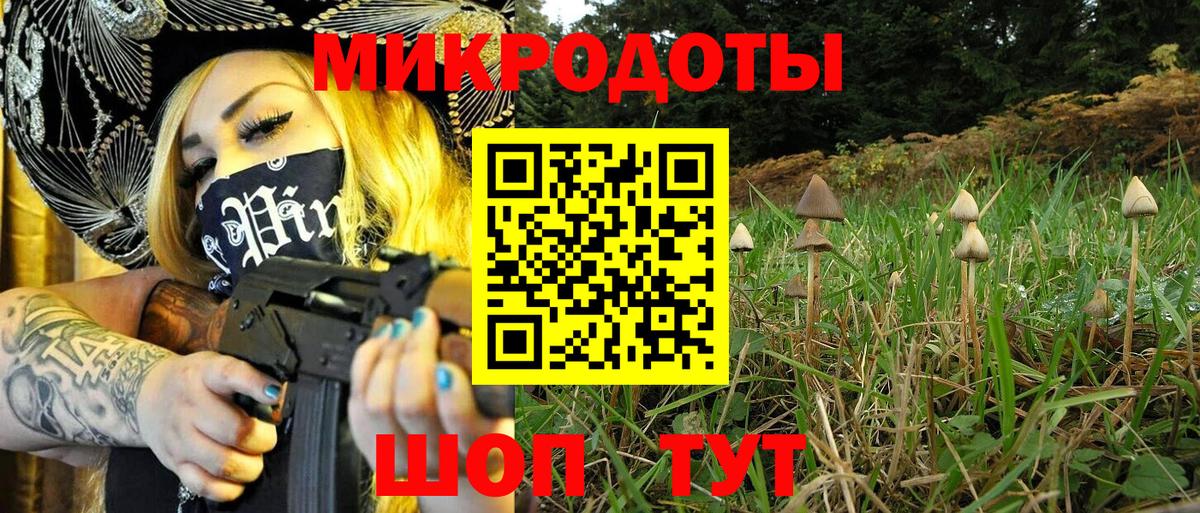 Галлюциногенные грибы мухоморы  Вход с VPN  Можайск 